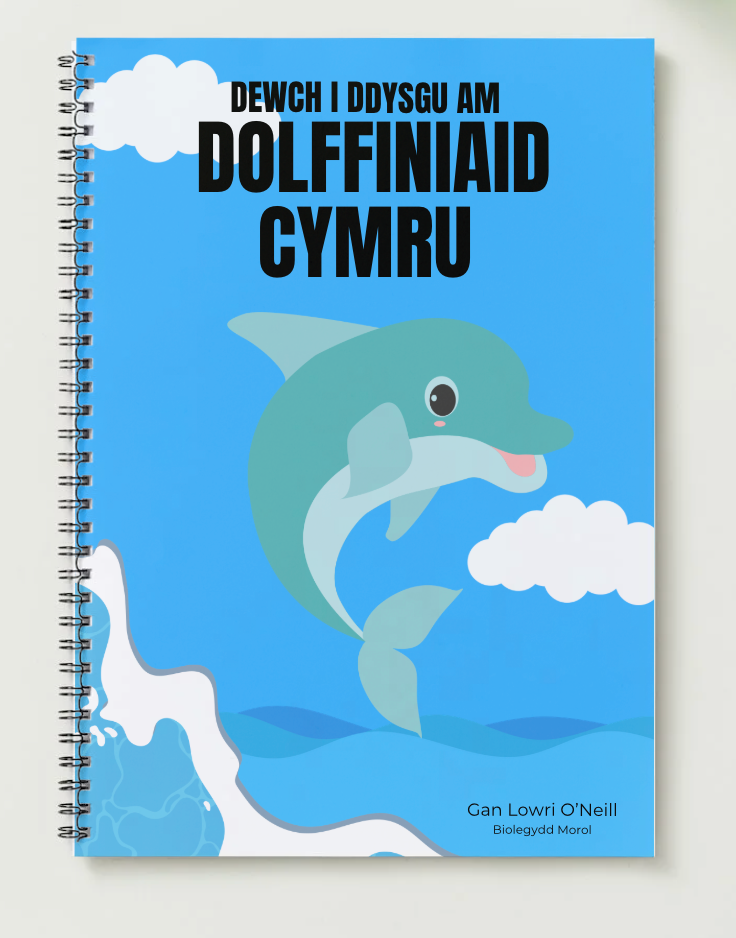 Dewch i Ddysgu: Dolffiniaid Cymru